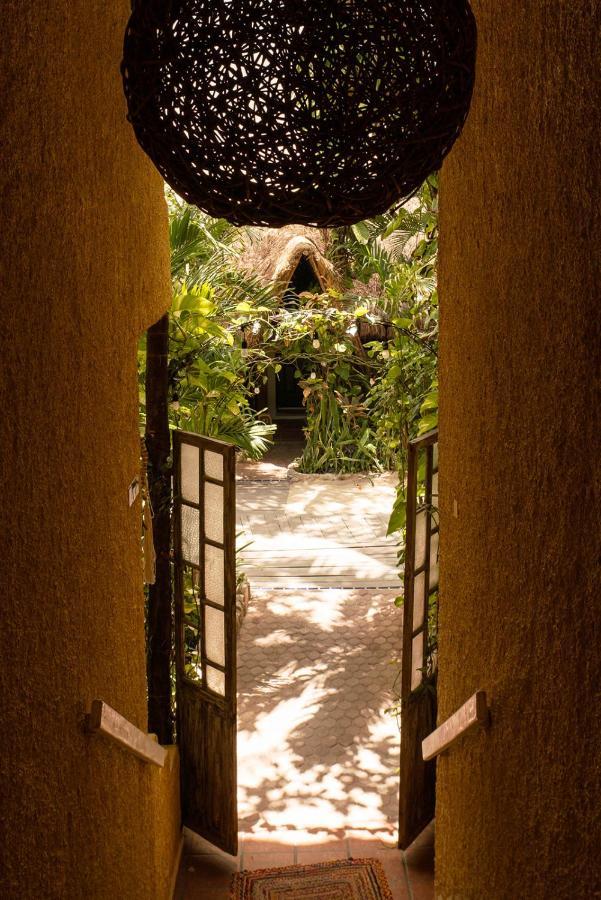Hotel Casa Colibri Плайя-дель-Кармен Екстер'єр фото