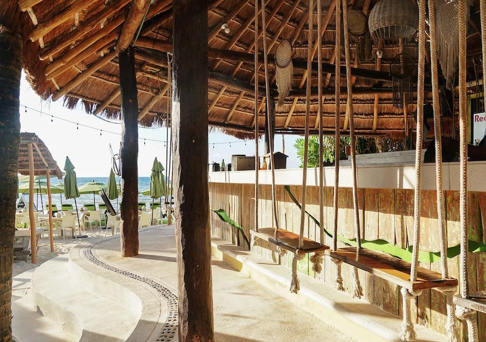 Hotel Casa Colibri Плайя-дель-Кармен Екстер'єр фото