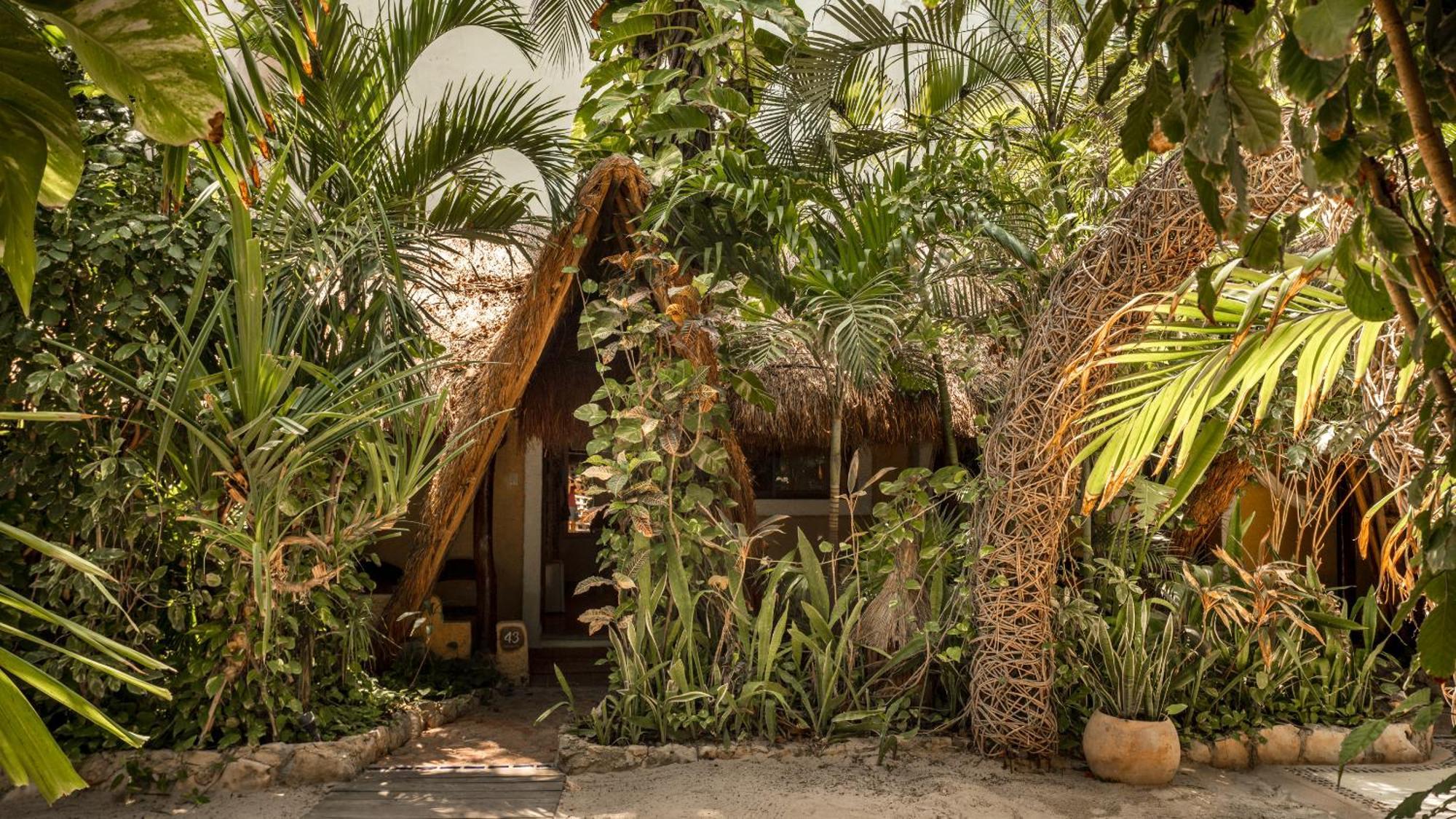 Hotel Casa Colibri Плайя-дель-Кармен Екстер'єр фото